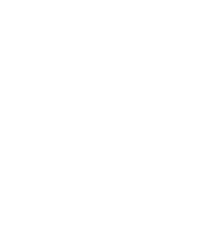 Logo Fifi