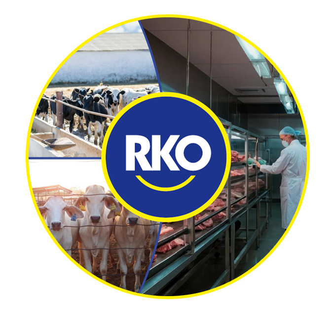 Composição circular com o logo RKO ao centro, gado em confinamento, bois nelore e um colaborador uniformizado em sala de desossa